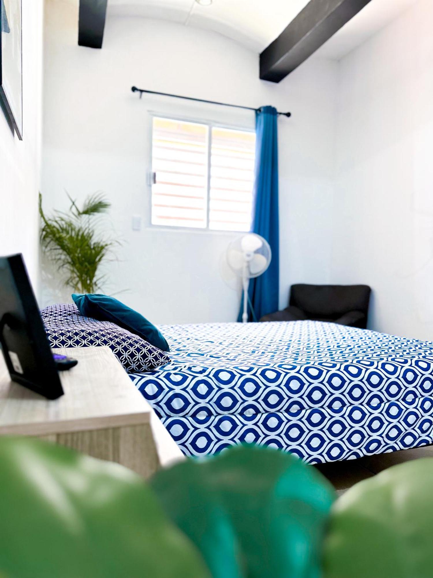 Oaxaca Habitacionez Hvuz מראה חיצוני תמונה