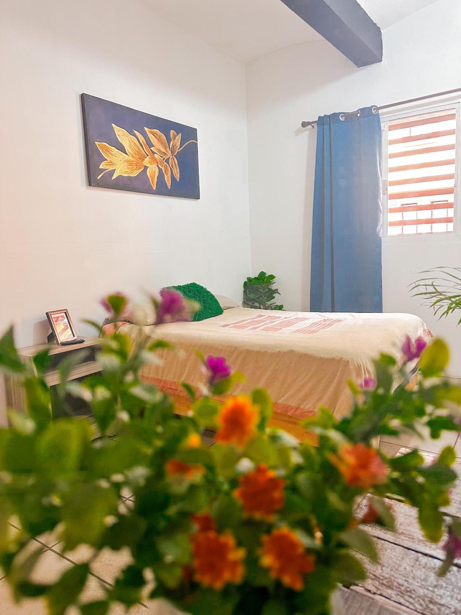 Oaxaca Habitacionez Hvuz מראה חיצוני תמונה