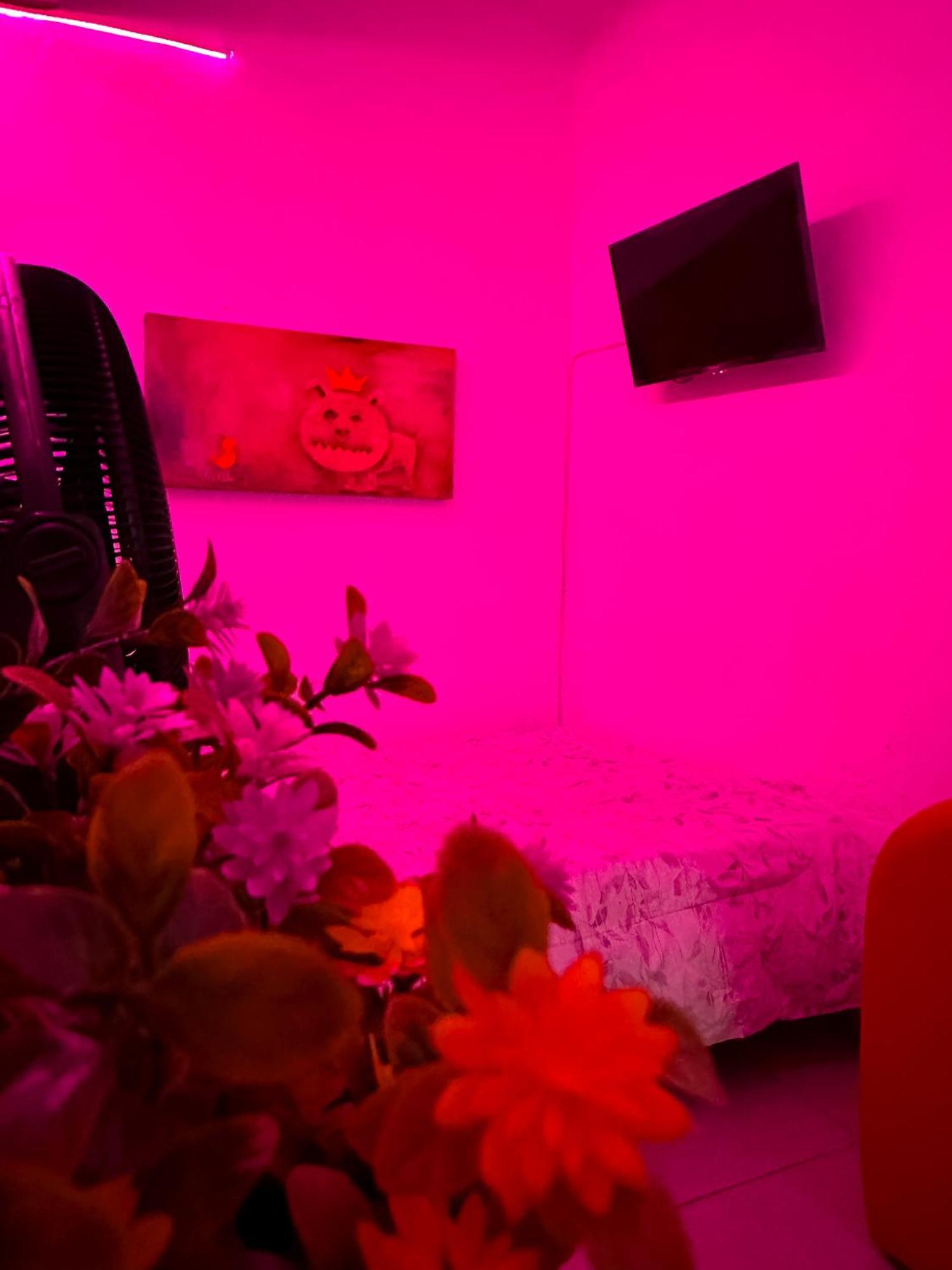 Oaxaca Habitacionez Hvuz מראה חיצוני תמונה